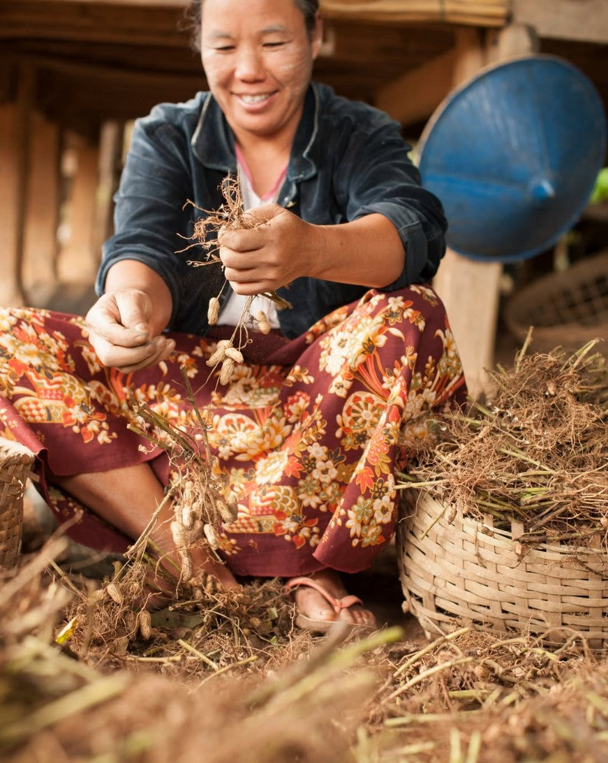Thai artisans and lush landscape